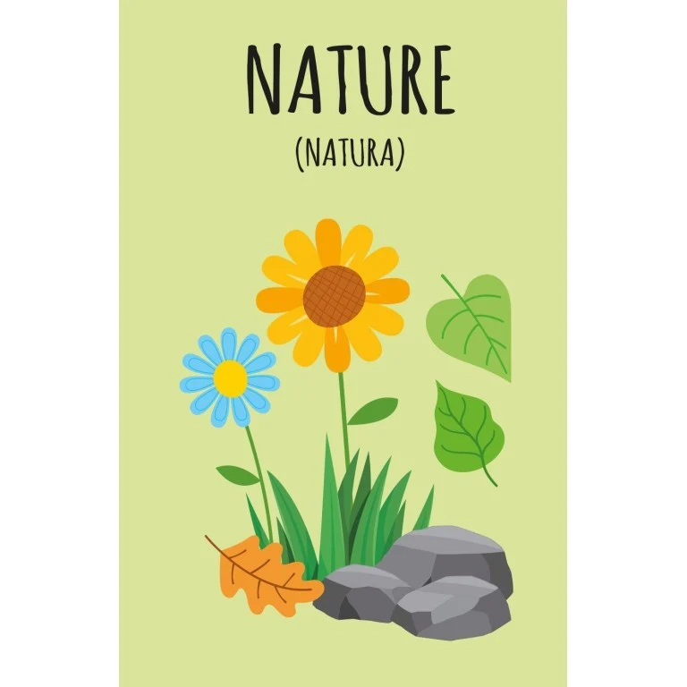 "La mia prima biblioteca-Imparo l'inglese" - Sassi - immagine 8